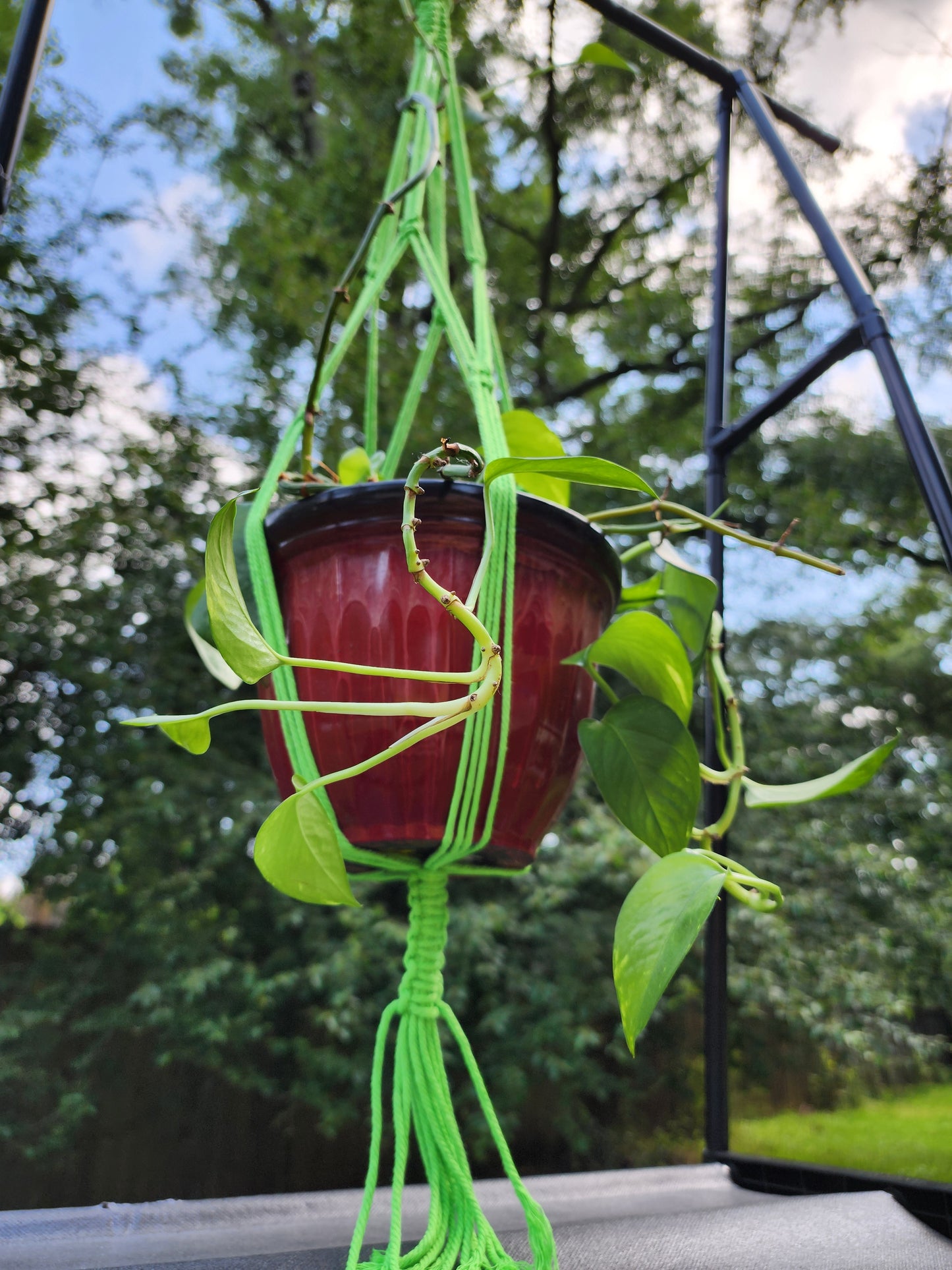 Green Macramé Plant Hanger Handmade